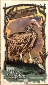 Turkey Vulture #SC-15