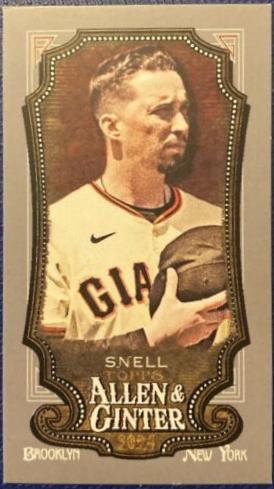 Blake Snell [Silver Mini] #228