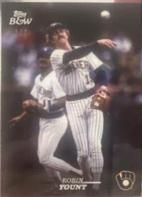 Robin Yount [Full Color] #13
