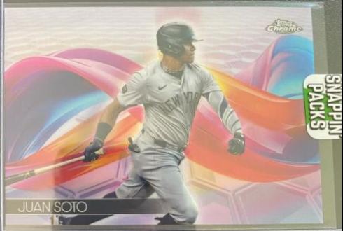 Juan Soto #HX-10