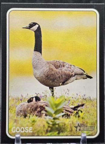 Goose #75Z-13