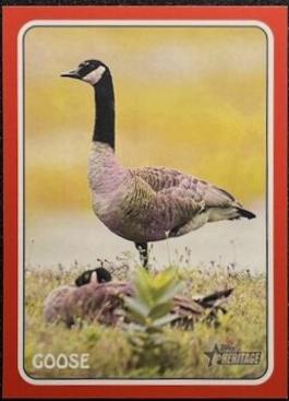 Goose [Red] #75Z-13