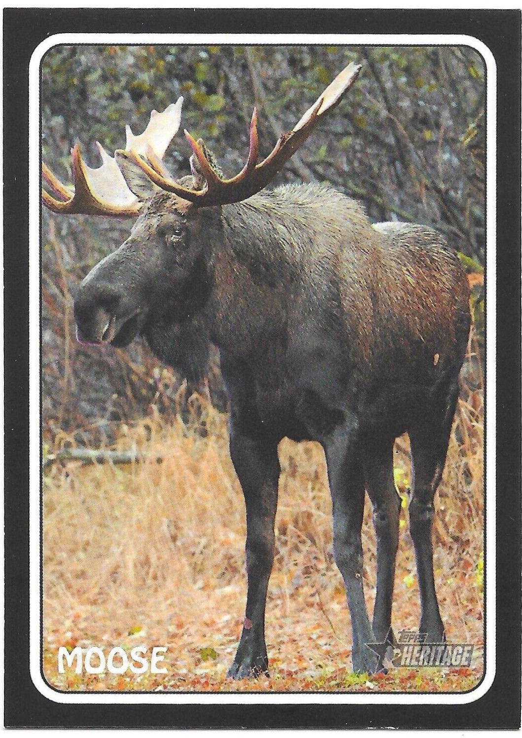 Moose #75Z-15