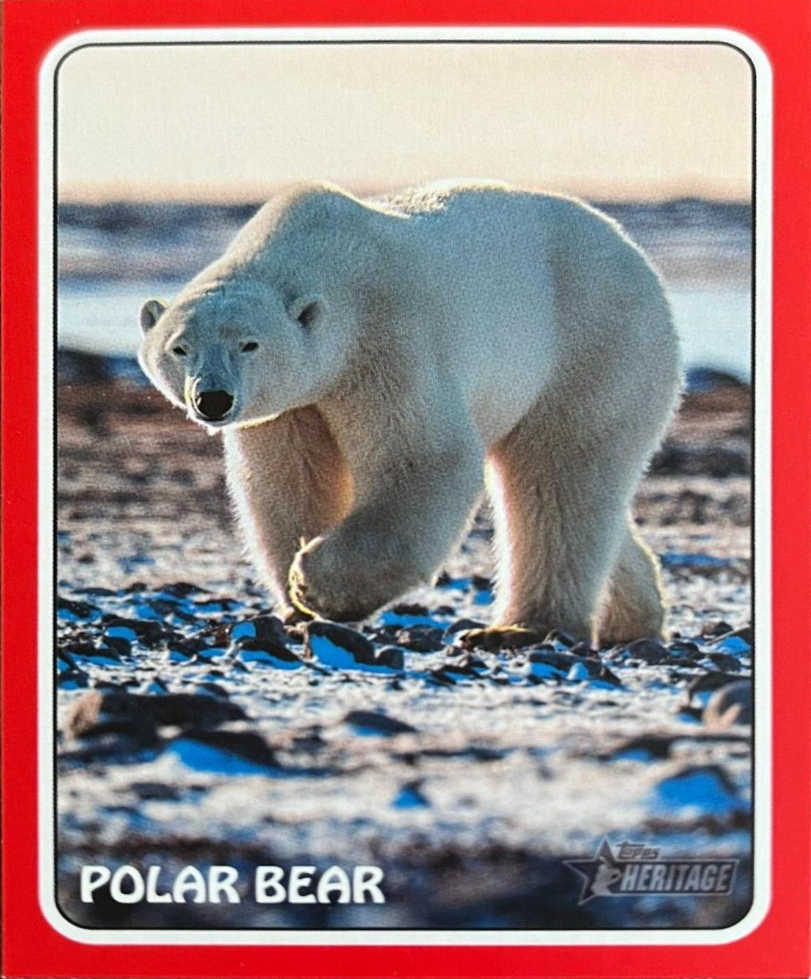 Polar Bear [Red] #75Z-9