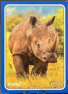 Rhino [Blue] #75Z-16