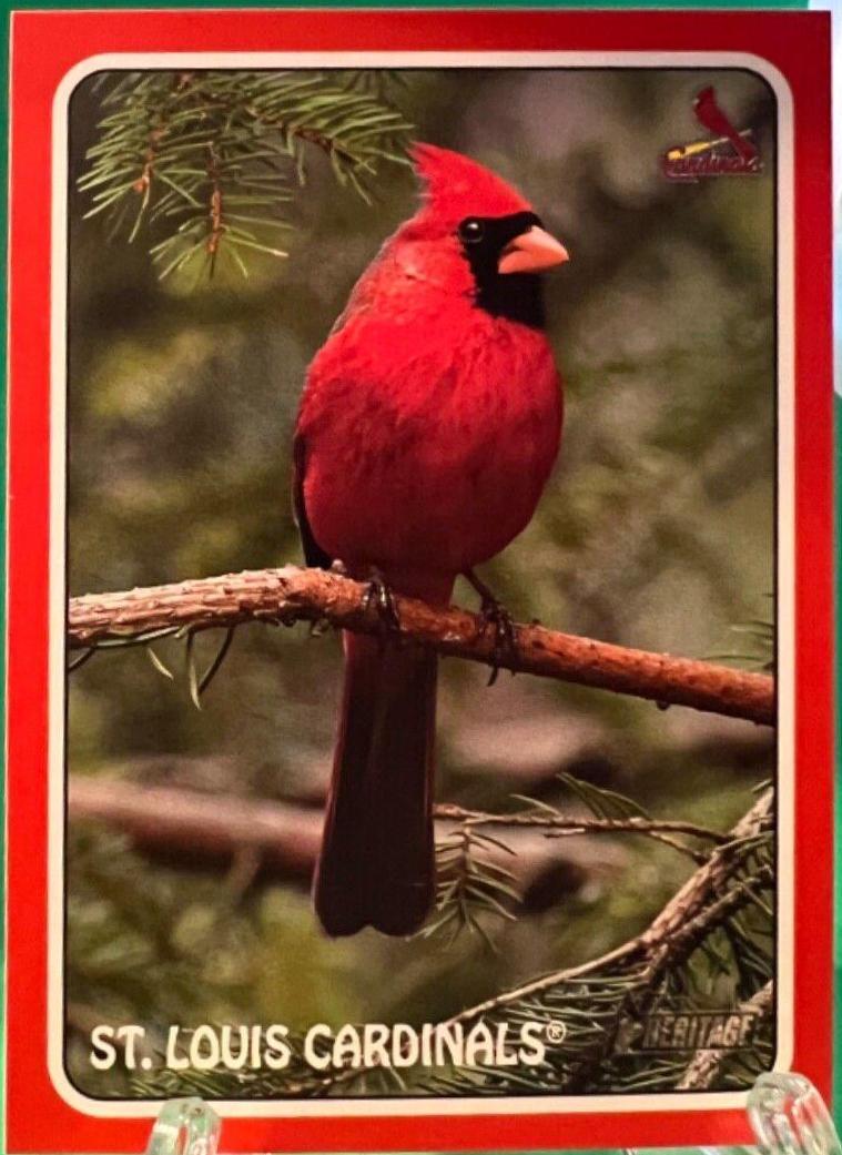 St. Louis Cardinals [Red] #75Z-4