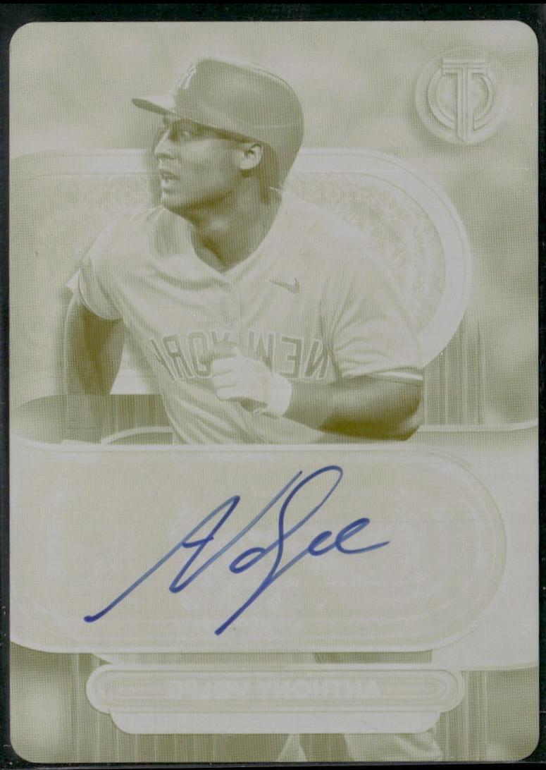 Anthony Volpe [Printing Plate] #TA-VOL