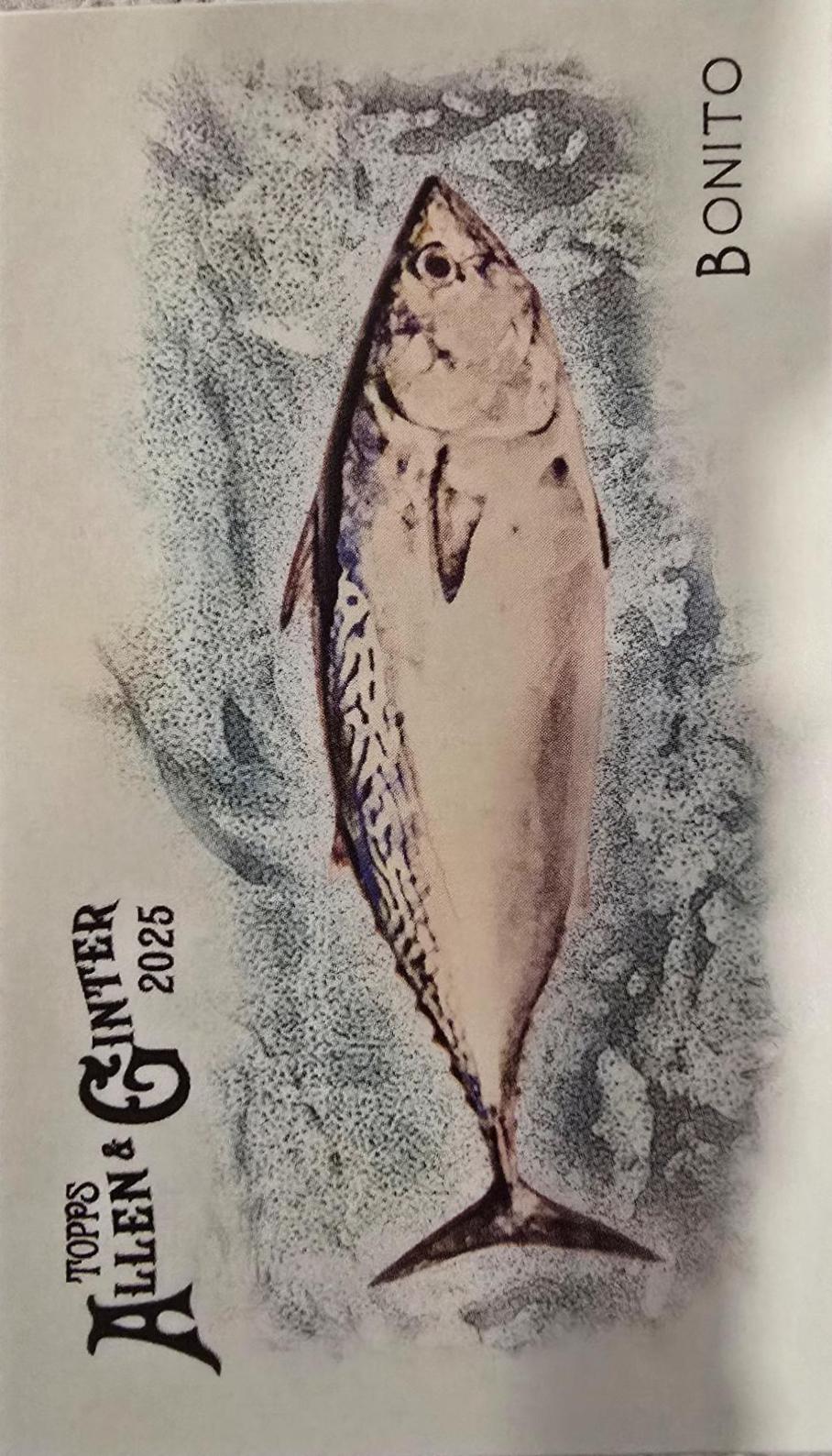 Bonito #FGW-44