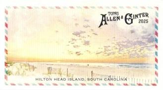 Hilton Head Island #BI-18