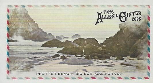 Pfeiffer Beach #BI-24