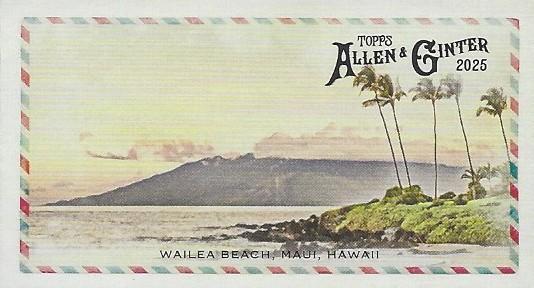 Wailea Beach #BI-2