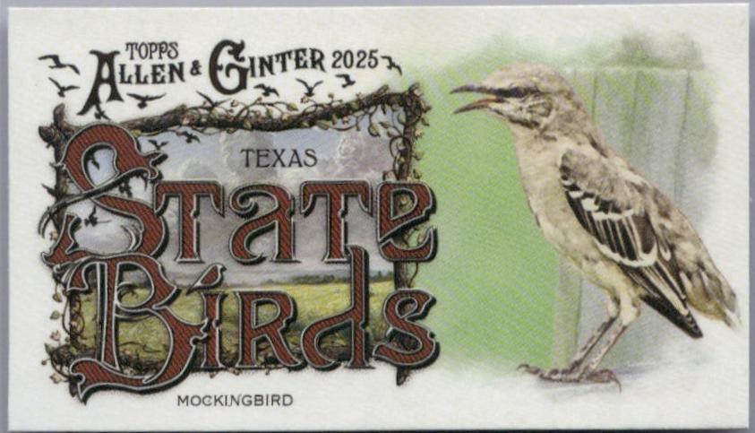 Mockingbird #SB-43