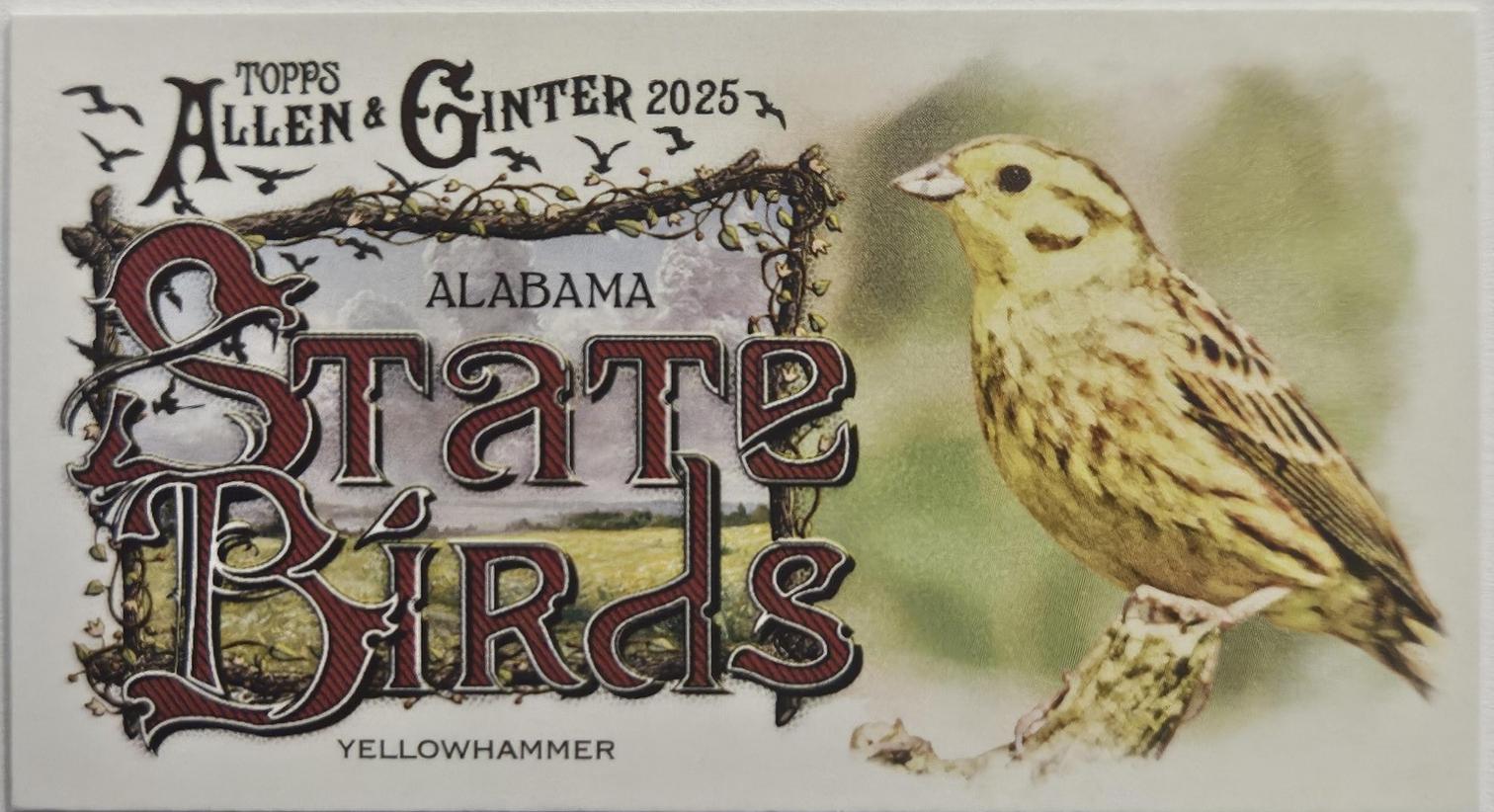 Yellowhammer #SB-1