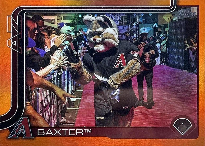 Baxter [Orange] #M-1