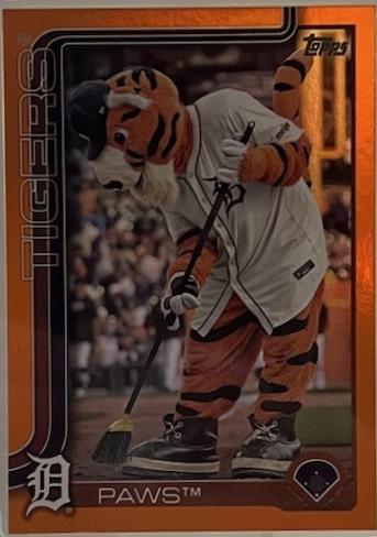 Paws [Orange] #M-10