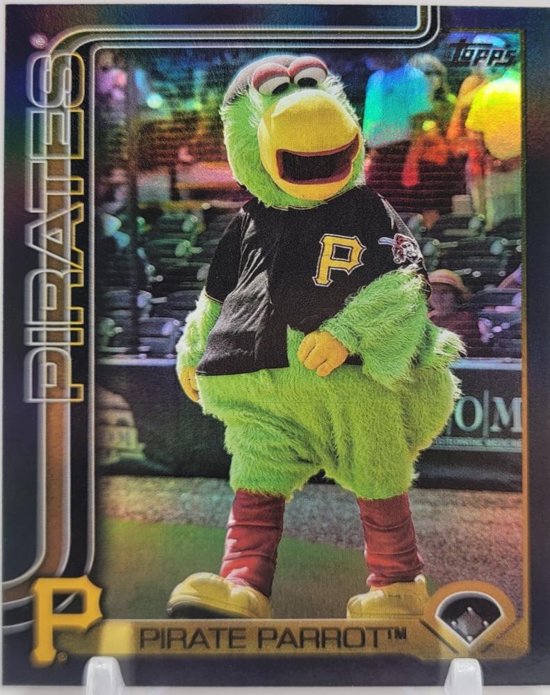 Pirate Parrot [Black] #M-19