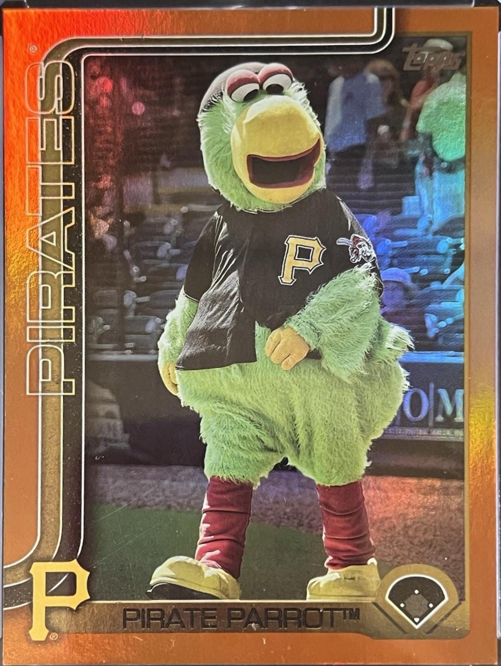 Pirate Parrot [Orange] #M-19