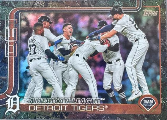 Detroit Tigers [Spring Training Black] #34