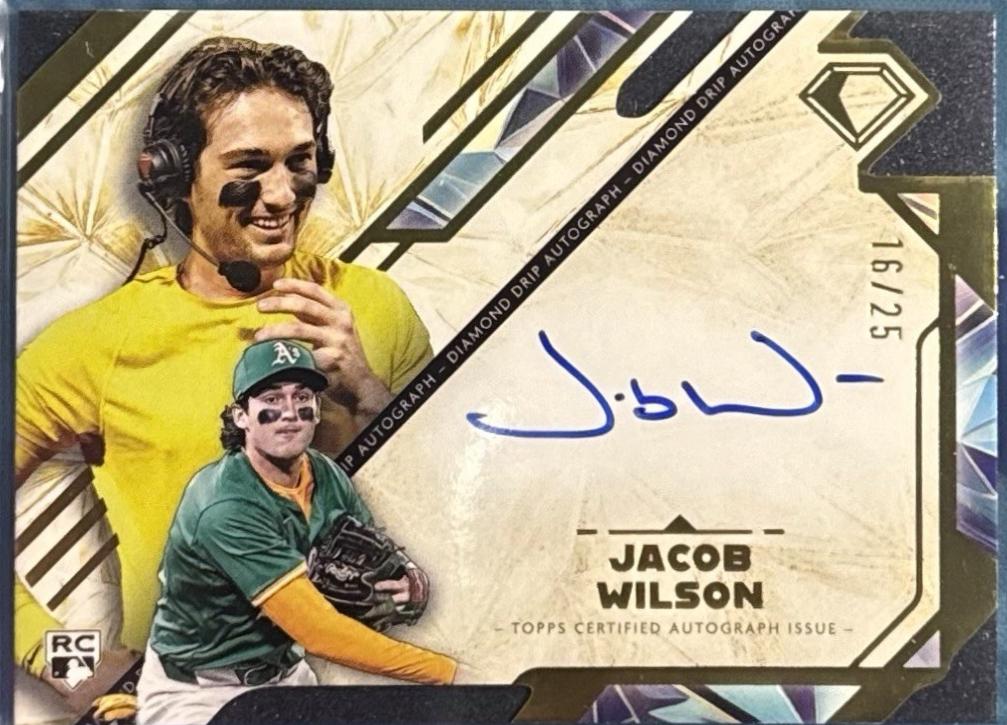 Jacob Wilson #DDA-JWI