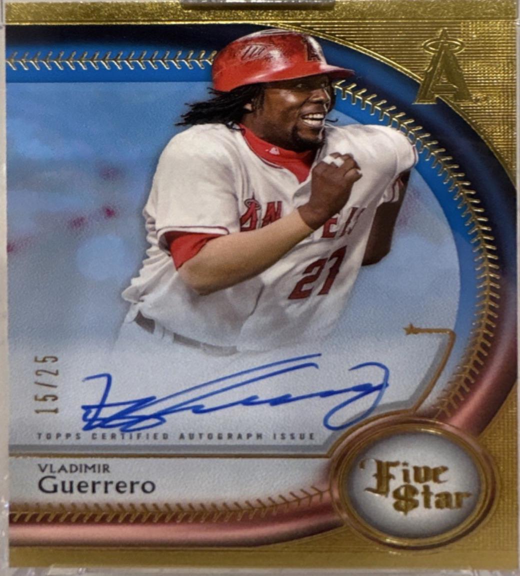 Vladimir Guerrero [Blue] #FSA-VGO