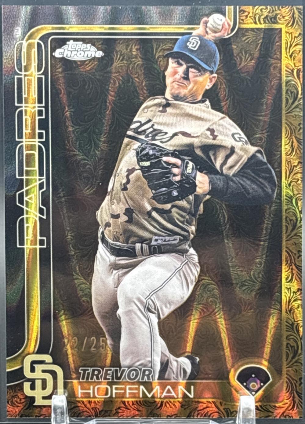 Trevor Hoffman [Gold RayWave] #181