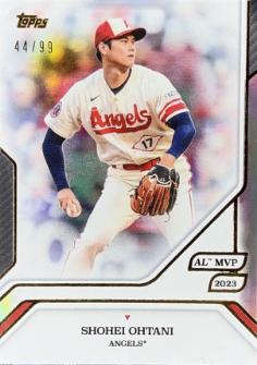 Shohei Ohtani #14