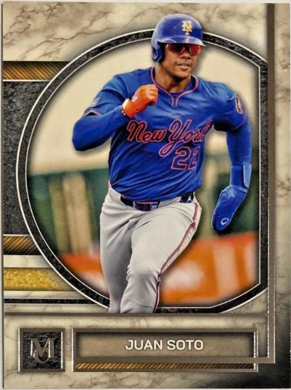Juan Soto #24