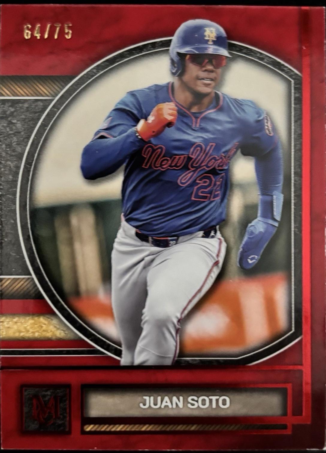 Juan Soto [Ruby] #24