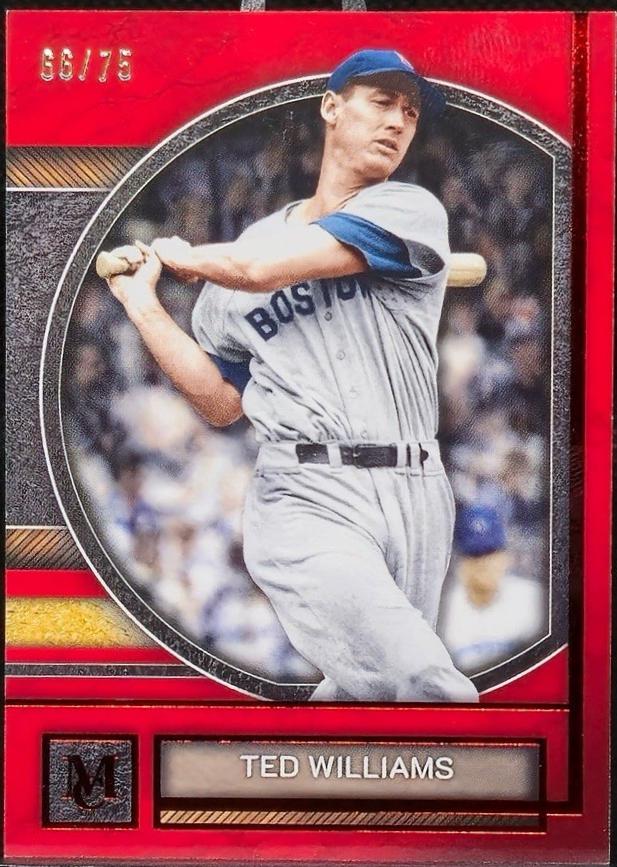 Ted Williams [Ruby] #16