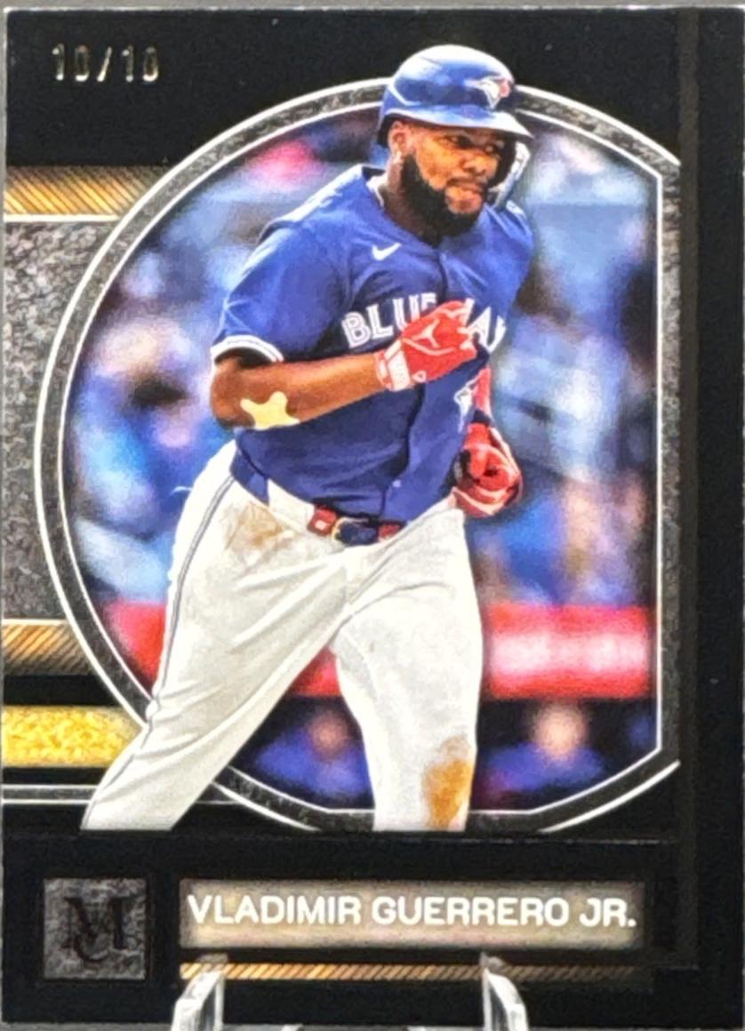 Vladimir Guerrero Jr. [Black Diamond] #14