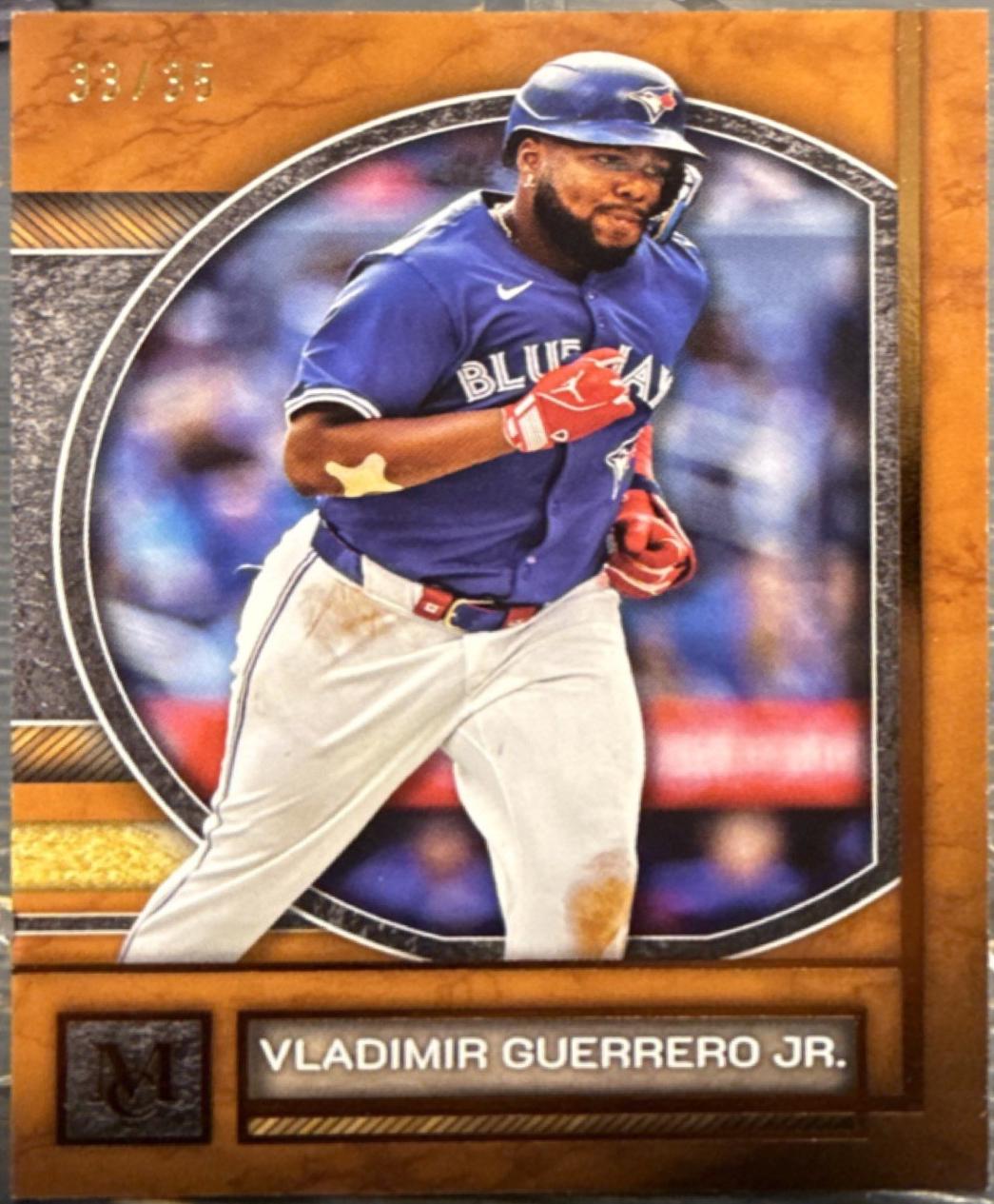 Vladimir Guerrero Jr. [Bronze] #14