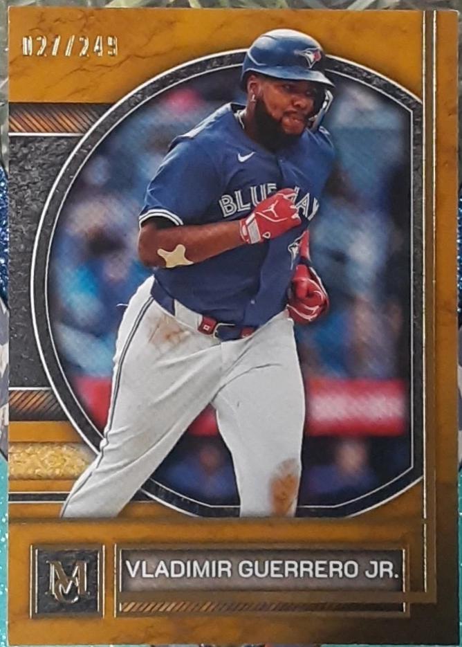 Vladimir Guerrero Jr. [Gold] #14