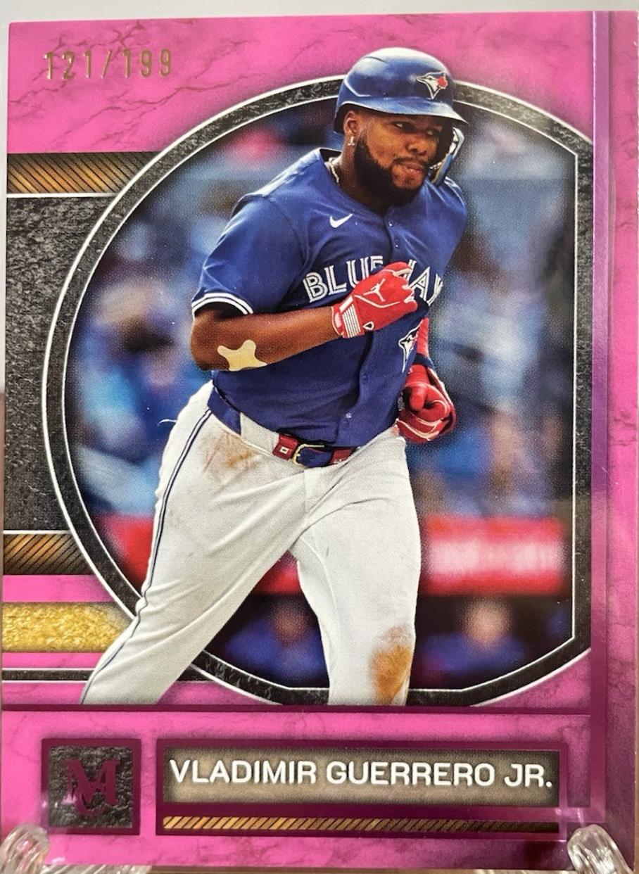 Vladimir Guerrero Jr. [Pink Sapphire] #14