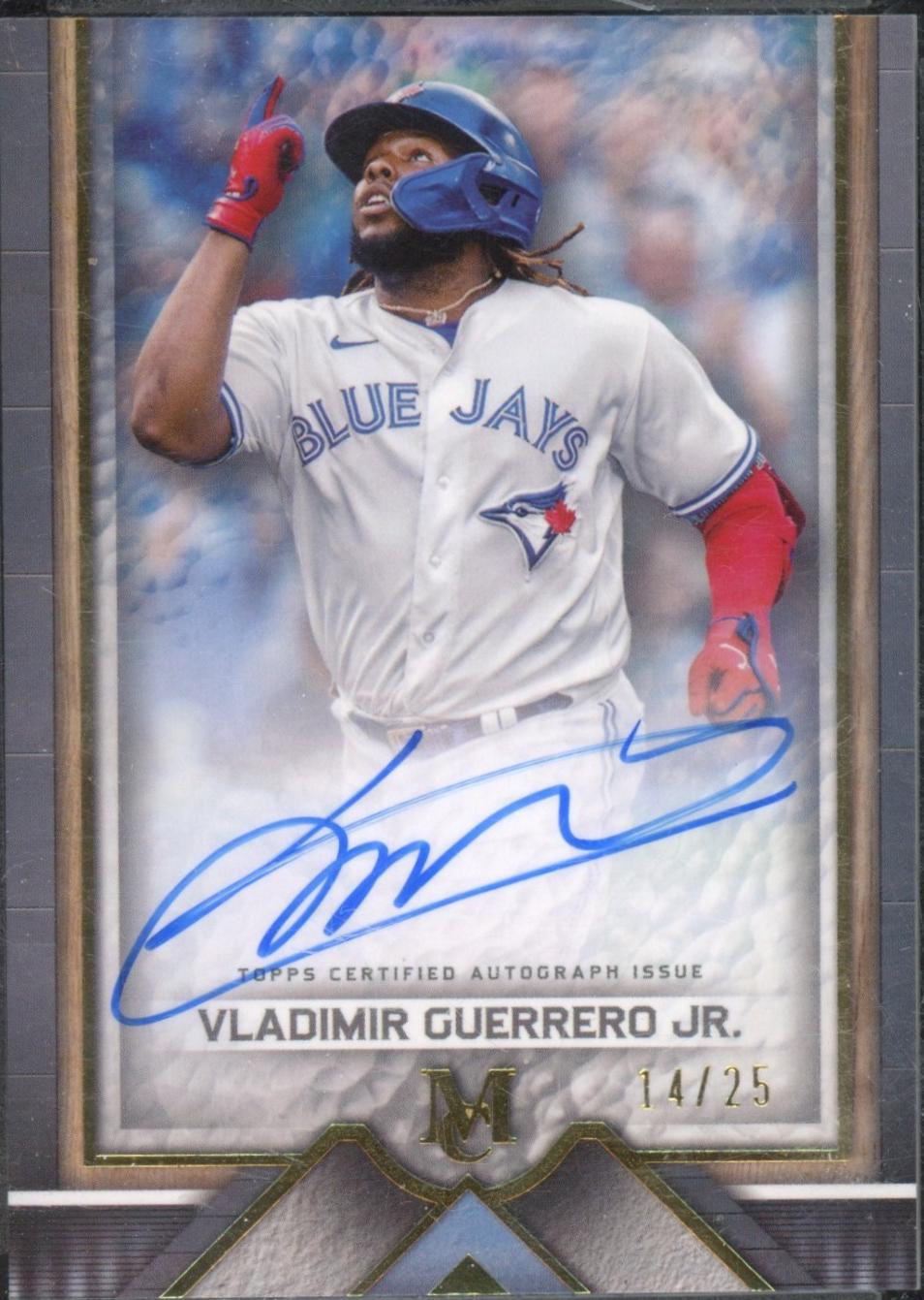Vladimir Guerrero Jr. #AA-VG
