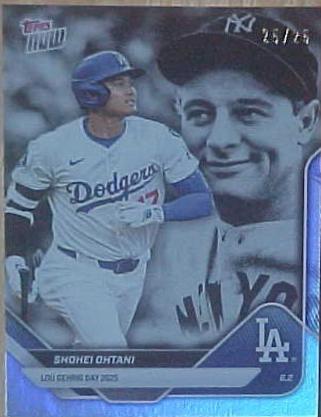 Shohei Ohtani [Iron Dark Silver] #LGD-SO