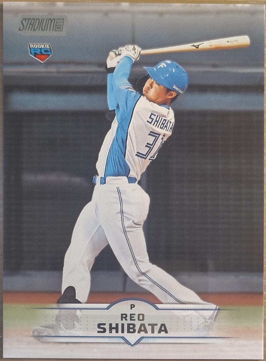 Reo Shibata #212