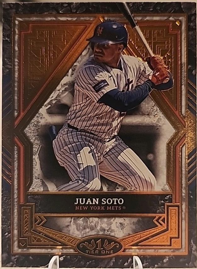 Juan Soto [Bronze Foil] #61