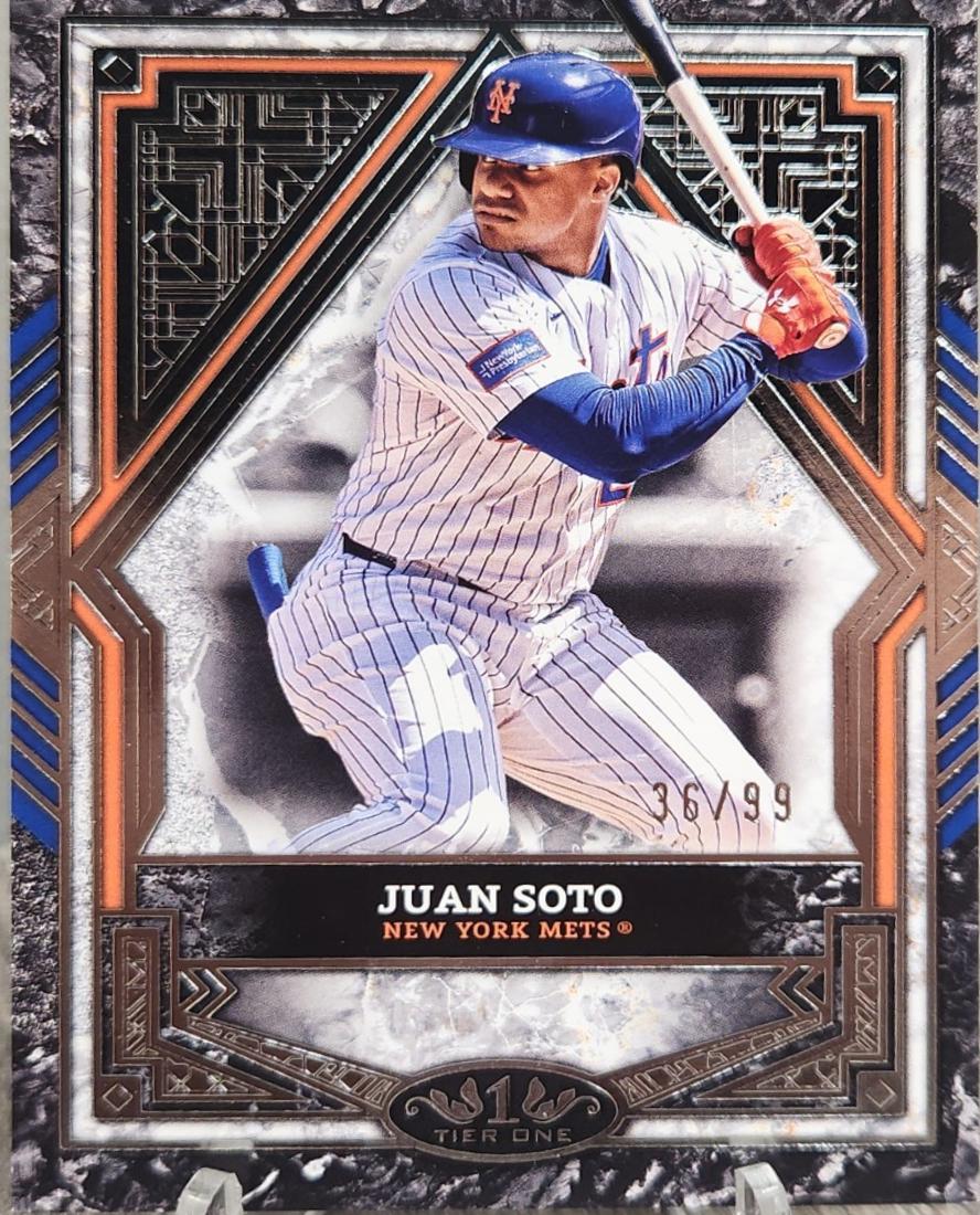 Juan Soto [Silver Foil] #61