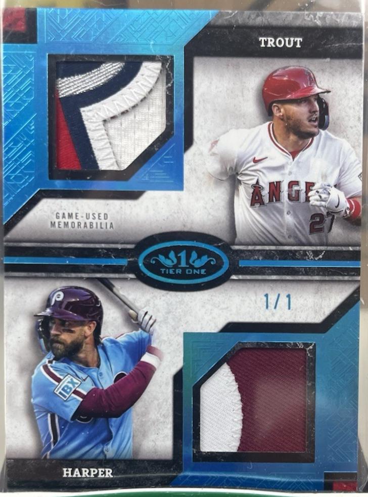 Bryce Harper / Mike Trout [Platinum] #DPR-TH