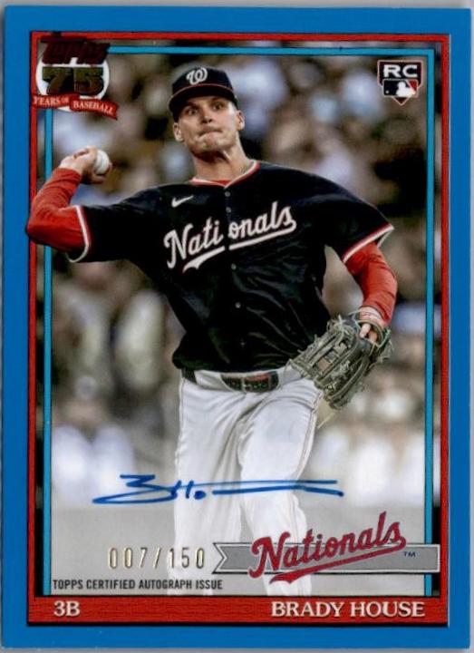 Brady House [Blue] #91A-HOU