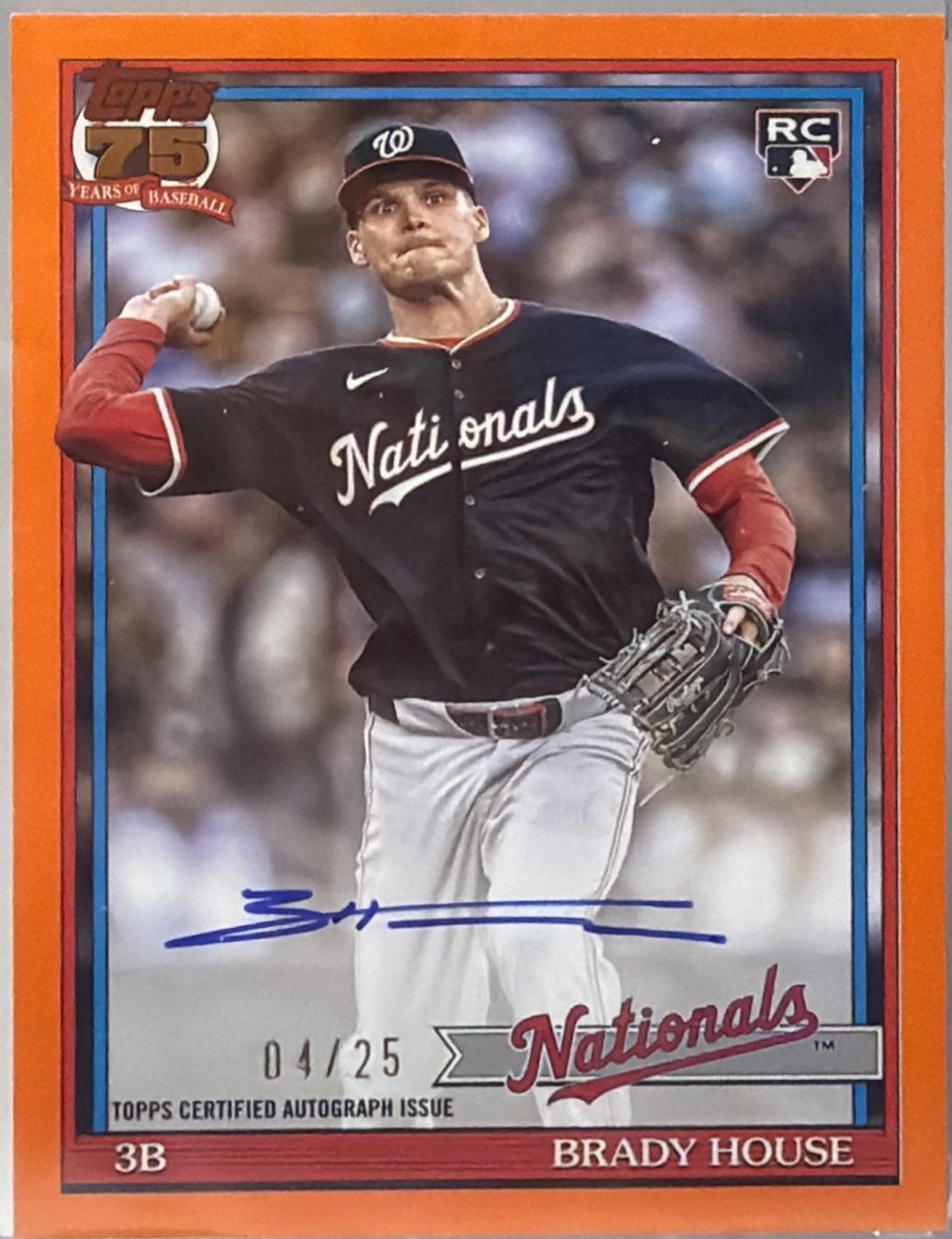 Brady House [Orange] #91A-HOU