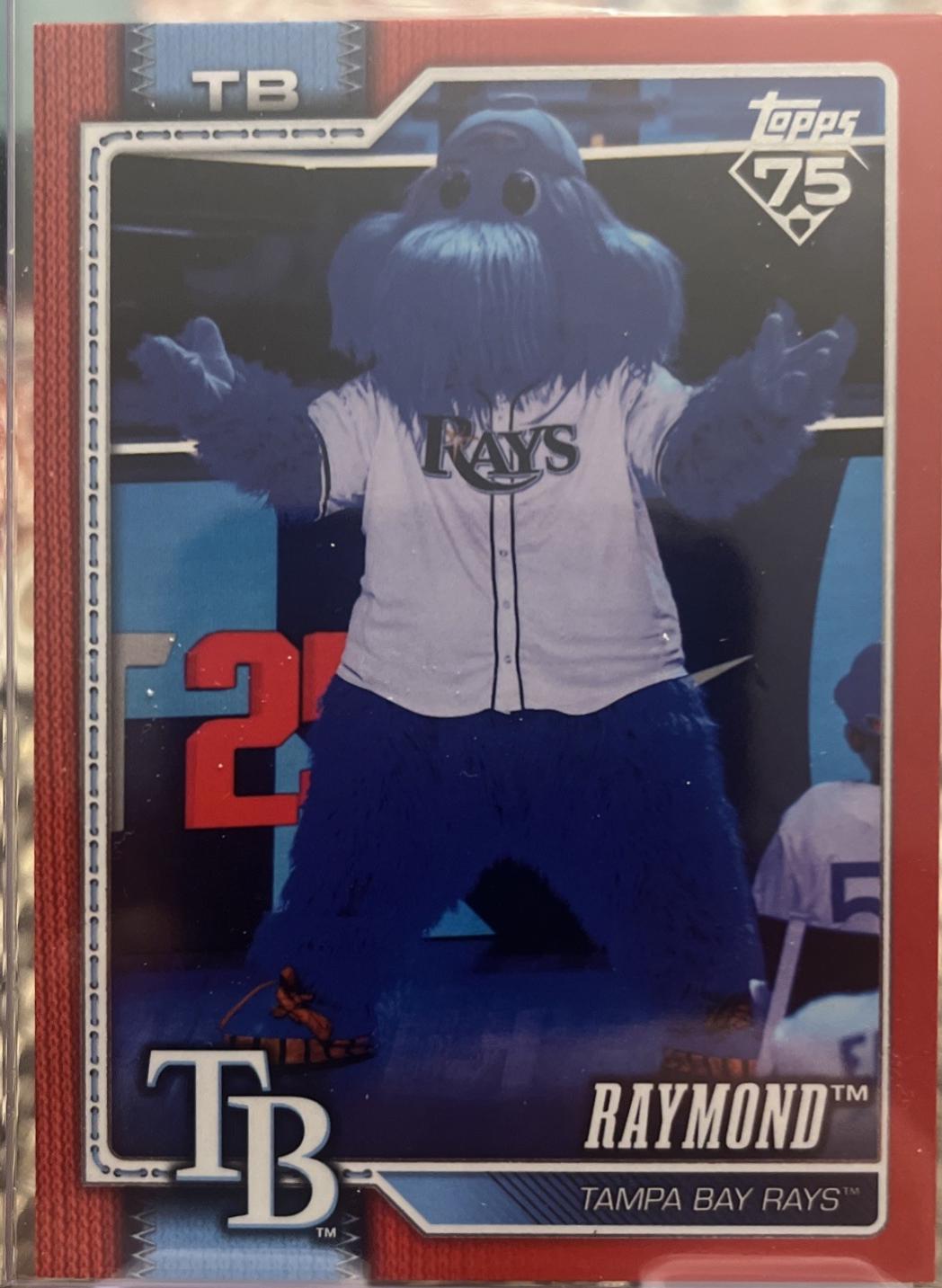 Raymond Tampa Bay Rays [Red] #M-22