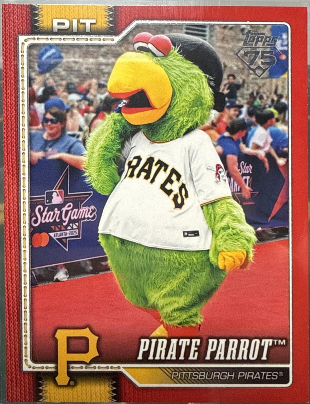 Pirate Parrot [Red] #M-17