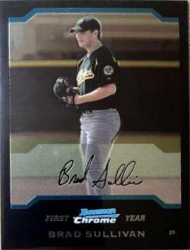 Brad Sullivan #173