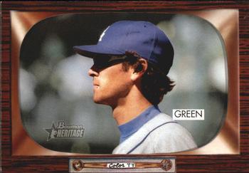 Shawn Green #66