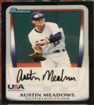Austin Meadows #100