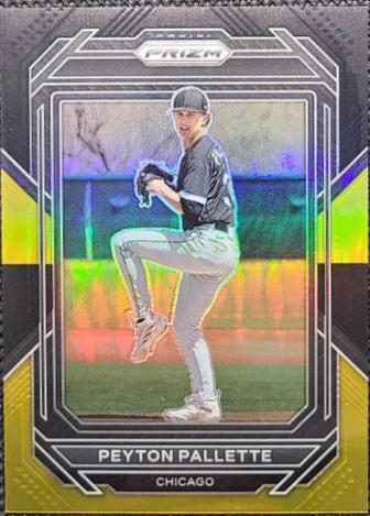 Peyton Pallette [Black Gold] #100