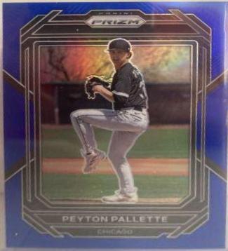 Peyton Pallette [Blue] #100
