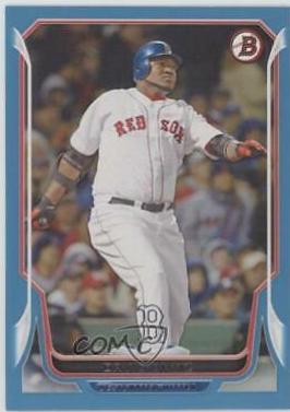 David Ortiz #208