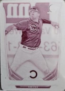 Kyle Schwarber [Printing Plate] #302